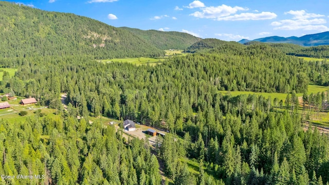 648 Curley Creek Rd, Moyie Springs, ID 83845 - photo 60