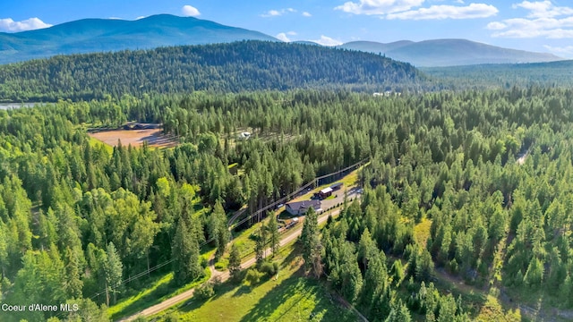 648 Curley Creek Rd, Moyie Springs, ID 83845 - photo 61