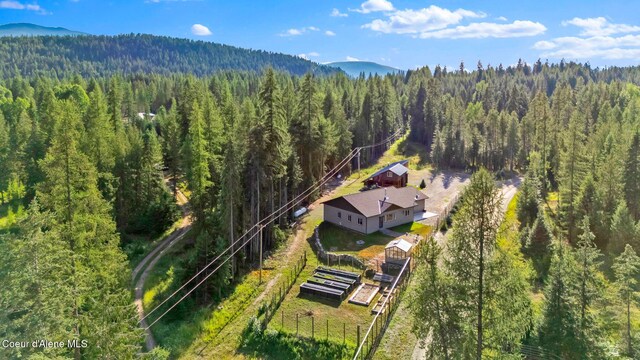648 Curley Creek Rd, Moyie Springs, ID 83845 - photo 63