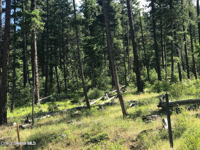 41 Quiet Hts, Athol, ID 83801