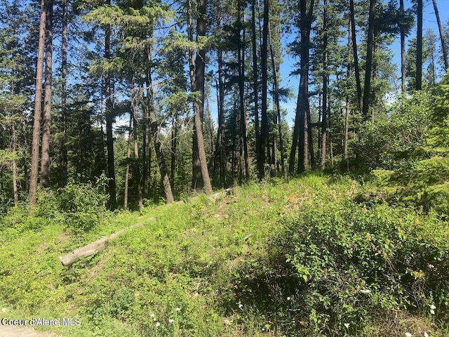41 Quiet Hts, Athol, ID 83801