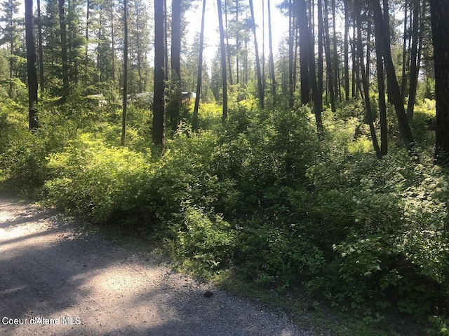 41 Quiet Hts, Athol, ID 83801