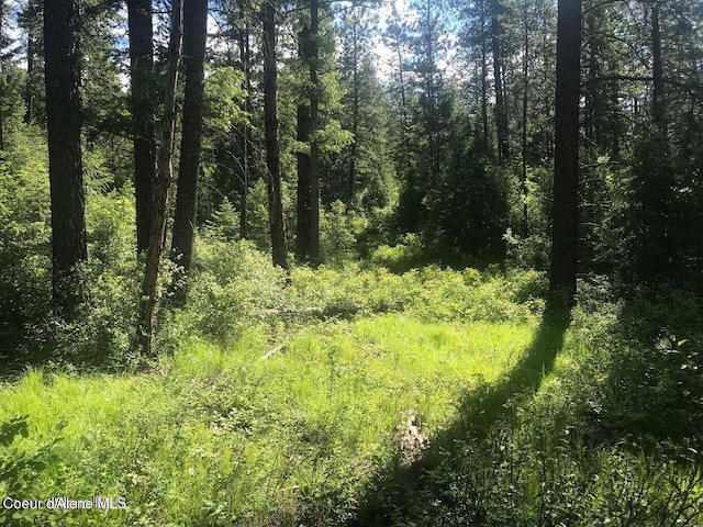 41 Quiet Hts, Athol, ID 83801