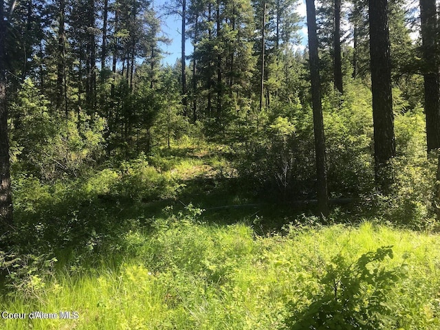 41 Quiet Hts, Athol, ID 83801