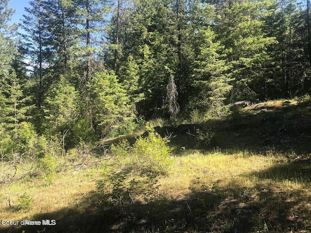 41 Quiet Hts, Athol, ID 83801