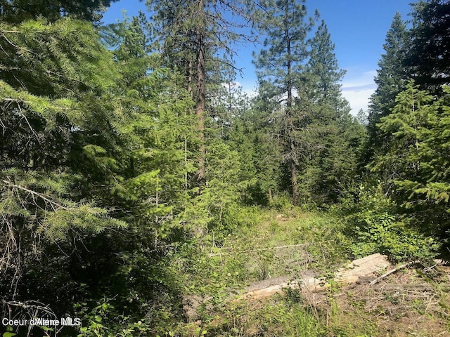 41 Quiet Hts, Athol, ID 83801