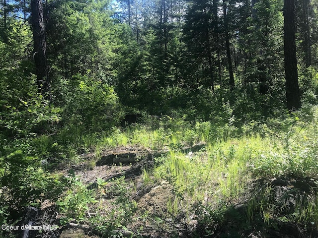 41 Quiet Hts, Athol, ID 83801