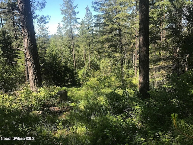 41 Quiet Hts, Athol, ID 83801