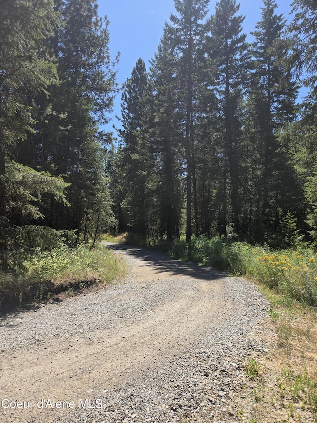 512 Everett Huff Rd, Oldtown, ID 83822 - photo 5