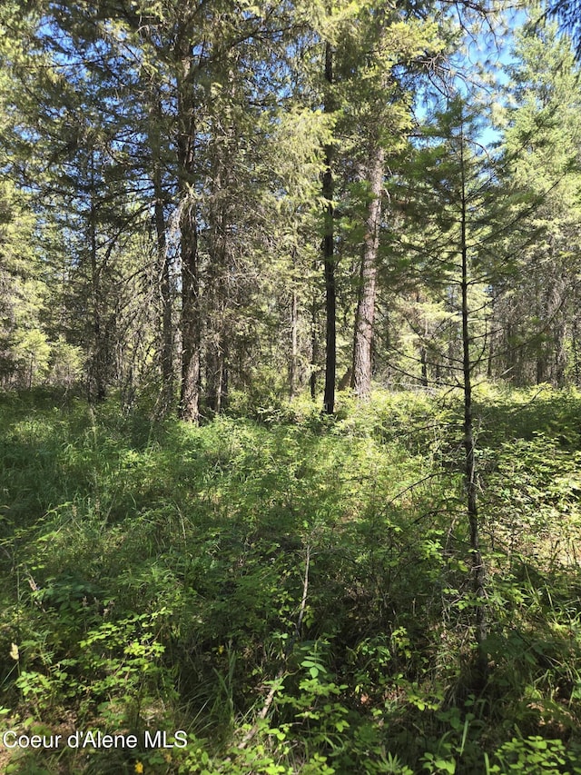 512 Everett Huff Rd, Oldtown, ID 83822 - photo 6