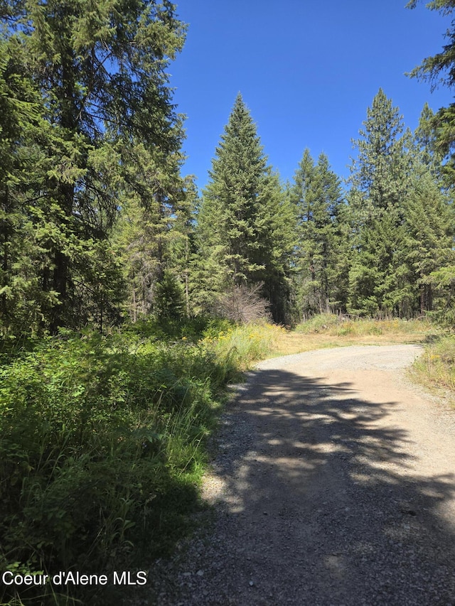 512 Everett Huff Rd, Oldtown, ID 83822 - photo 4