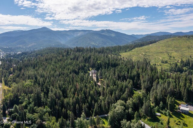 63 Reinoehl Rd, Kingston, ID 83839 - photo 49