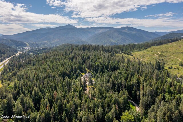 63 Reinoehl Rd, Kingston, ID 83839 - photo 53