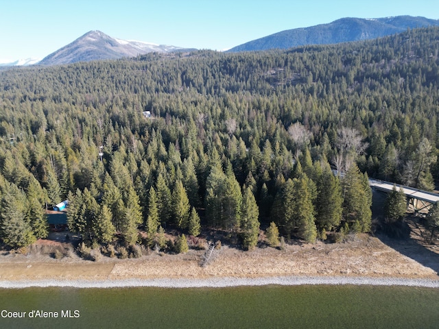 352 Estate Dr, Troy Mt, MT 59935 - photo 19
