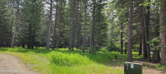 352 Estate Dr, Troy Mt, MT 59935 - photo 6