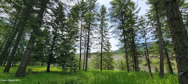 352 Estate Dr, Troy Mt, MT 59935 - photo 14