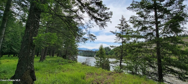 352 Estate Dr, Troy Mt, MT 59935 - photo 4