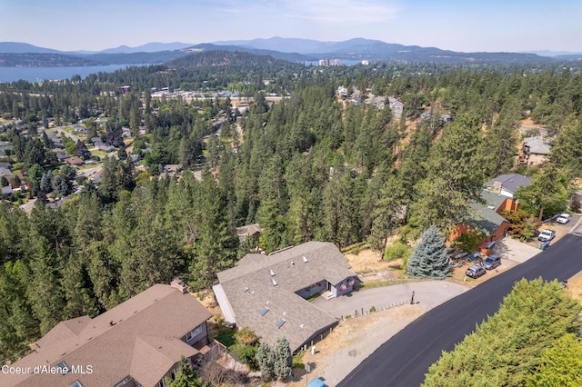 3106 E Fernan Hill Rd, Coeur Dalene, ID 83814 - photo 37
