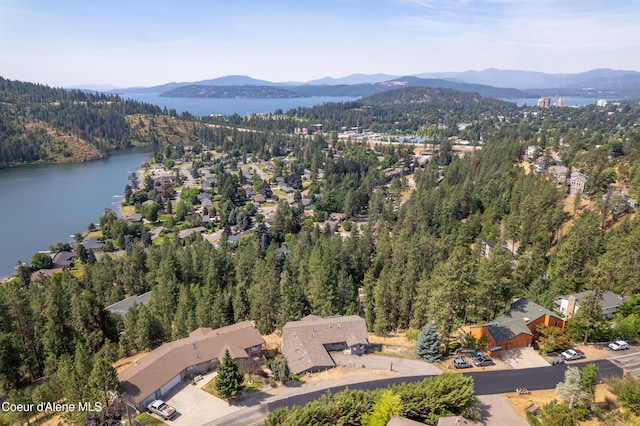 3106 E Fernan Hill Rd, Coeur Dalene, ID 83814 - photo 48