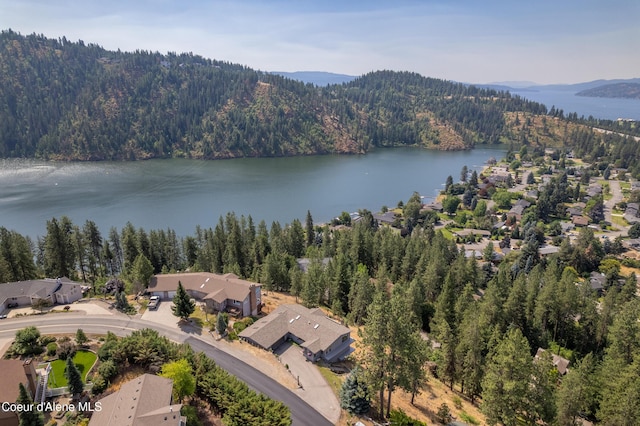3106 E Fernan Hill Rd, Coeur Dalene, ID 83814 - photo 38