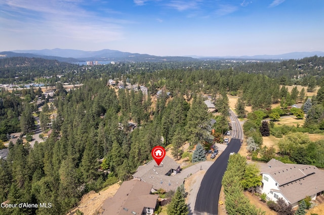 3106 E Fernan Hill Rd, Coeur Dalene, ID 83814 - photo 42