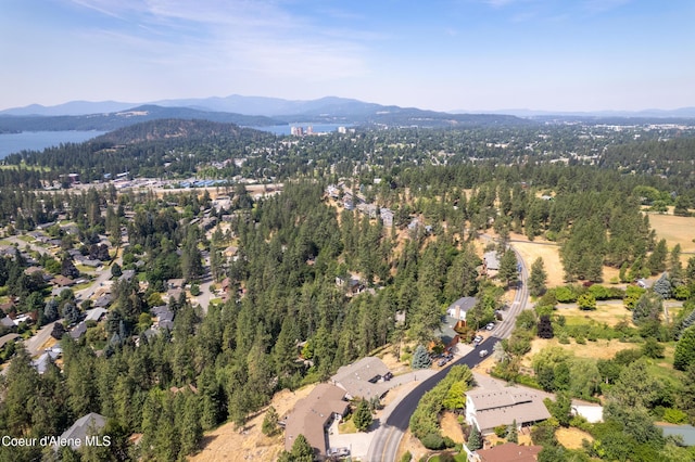 3106 E Fernan Hill Rd, Coeur Dalene, ID 83814 - photo 43