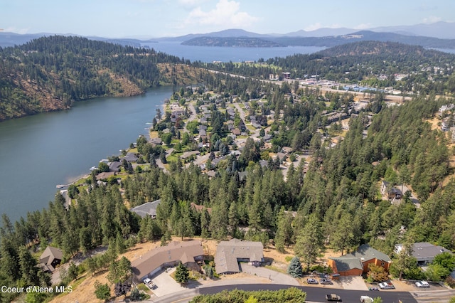 3106 E Fernan Hill Rd, Coeur Dalene, ID 83814 - photo 44