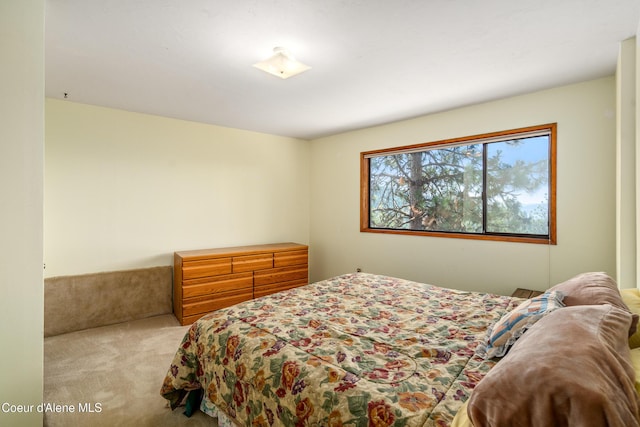 3106 E Fernan Hill Rd, Coeur Dalene, ID 83814 - photo 33