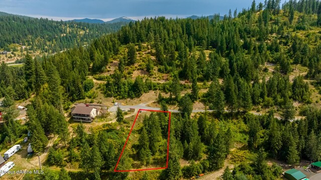 1870 E Flying Eagle Rd, Harrison, ID 83833 - photo 3