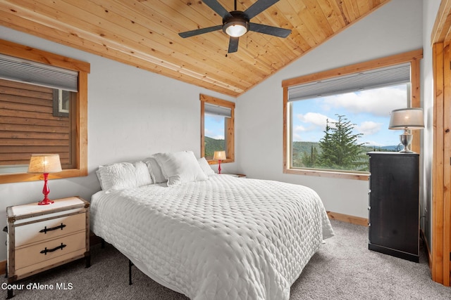 21 Harrison Ln, Sandpoint, ID 83864 - photo 17