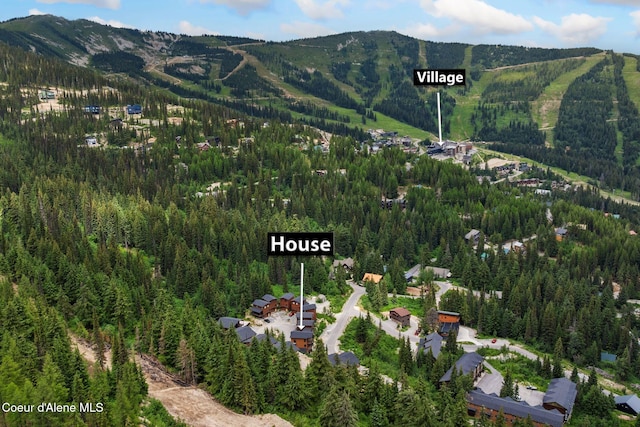21 Harrison Ln, Sandpoint, ID 83864 - photo 31