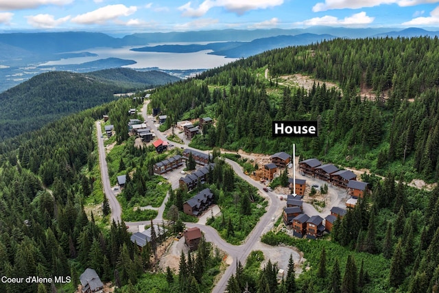 21 Harrison Ln, Sandpoint, ID 83864 - photo 42
