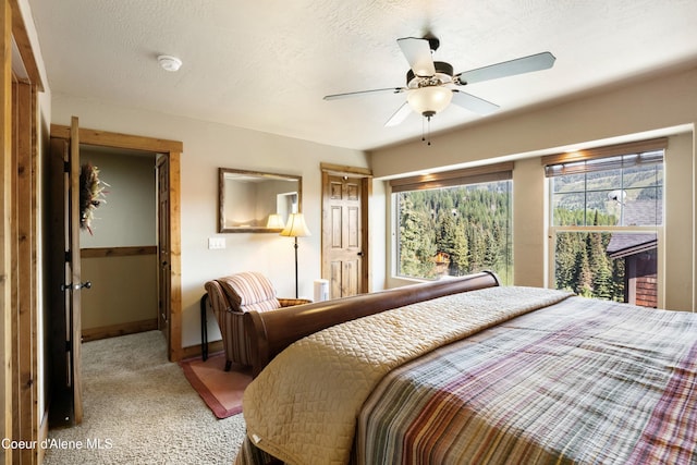 76 Whiplash Ct Unit 9, Sandpoint, ID 83864 - photo 14