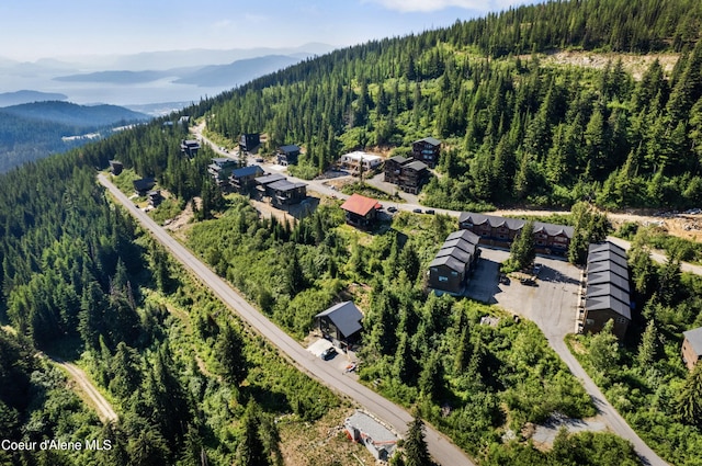 76 Whiplash Ct Unit 9, Sandpoint, ID 83864 - photo 43