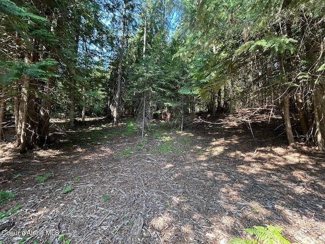 LOT7BK1 Fall Creek Rd, Naples, ID 83847 - photo 1