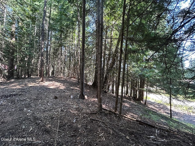 LOT7BK1 Fall Creek Rd, Naples, ID 83847 - photo 4