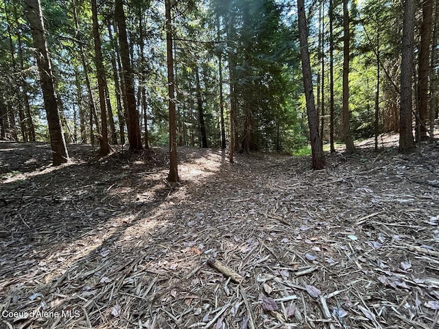 LOT7BK1 Fall Creek Rd, Naples, ID 83847 - photo 11