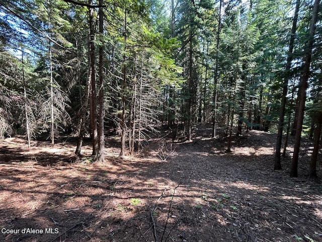 LOT7BK1 Fall Creek Rd, Naples, ID 83847 - photo 14