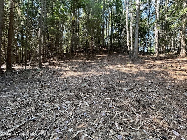 LOT7BK1 Fall Creek Rd, Naples, ID 83847 - photo 17
