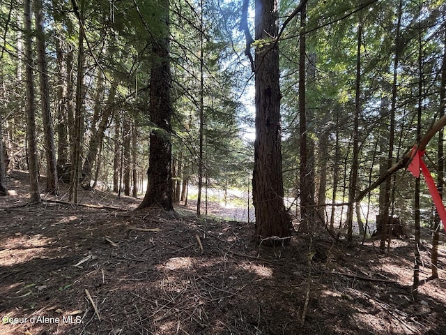 LOT7BK1 Fall Creek Rd, Naples, ID 83847 - photo 18