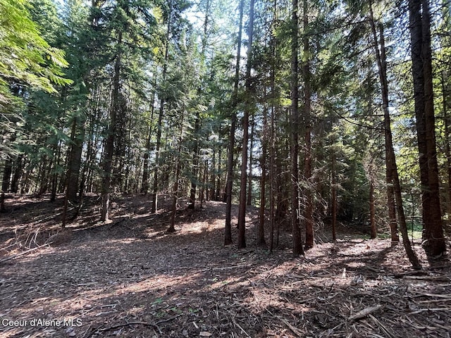 LOT7BK1 Fall Creek Rd, Naples, ID 83847 - photo 20