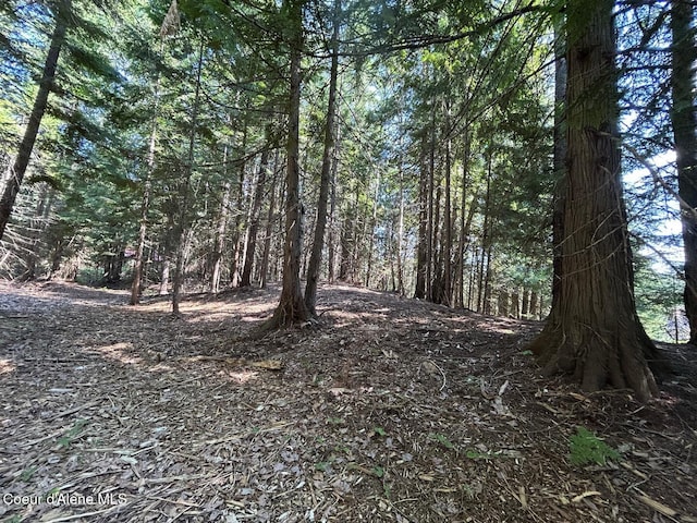 LOT7BK1 Fall Creek Rd, Naples, ID 83847 - photo 21
