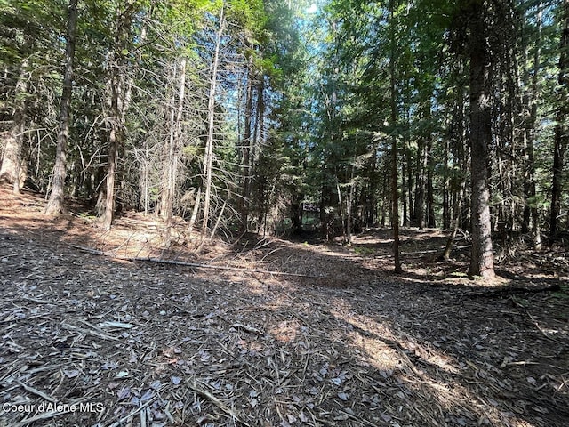 LOT7BK1 Fall Creek Rd, Naples, ID 83847 - photo 23
