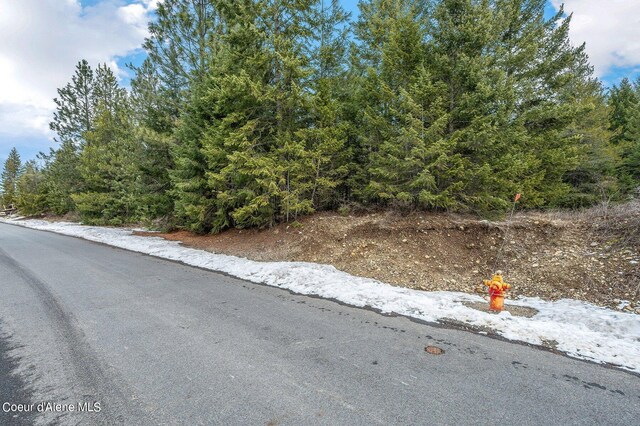32972 N 10th Ave, Spirit Lake, ID 83869 - photo 2