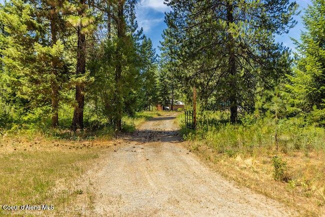 3003 E Carver Ln, Athol, ID 83801 - photo 50