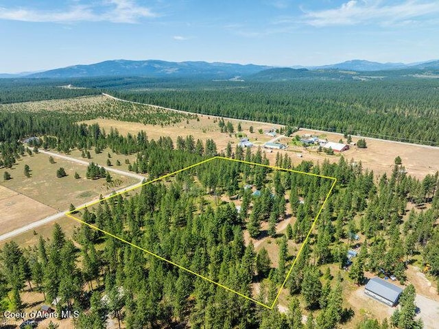 3003 E Carver Ln, Athol, ID 83801 - photo 51