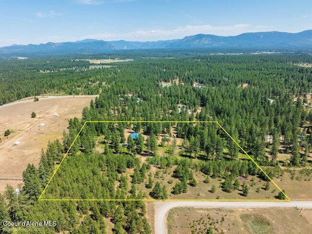 3003 E Carver Ln, Athol, ID 83801 - photo 52