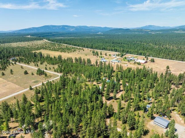 3003 E Carver Ln, Athol, ID 83801 - photo 53