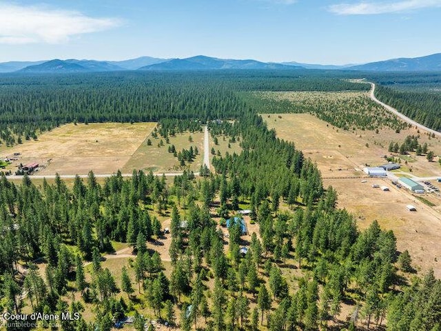 3003 E Carver Ln, Athol, ID 83801 - photo 54
