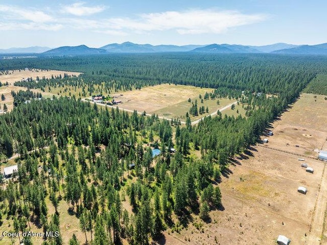 3003 E Carver Ln, Athol, ID 83801 - photo 55